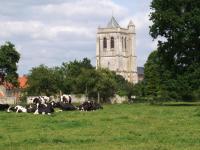 Eglise eperlecques 82492 2