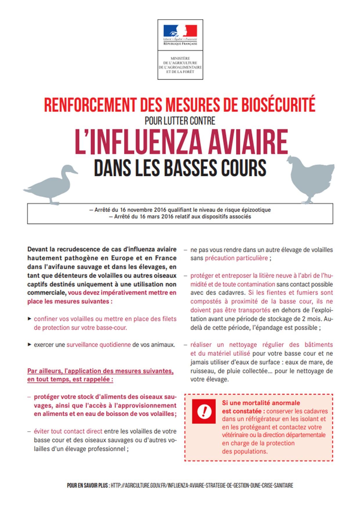 Influenza aviaire