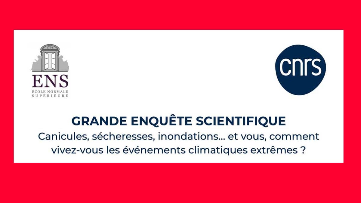 Vignette ens